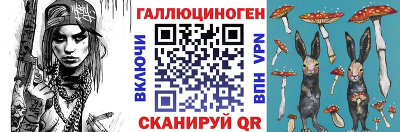Галлюциногенные грибы Psilocybe  kraken   Соль-Илецк 
